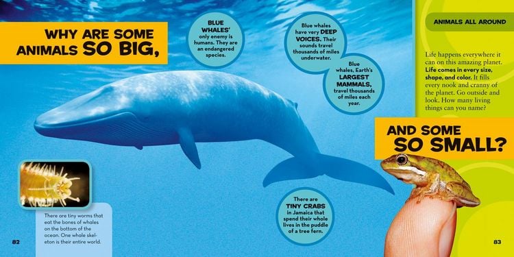 Produktbild: National Geographic Little Kids First Big Book of Why