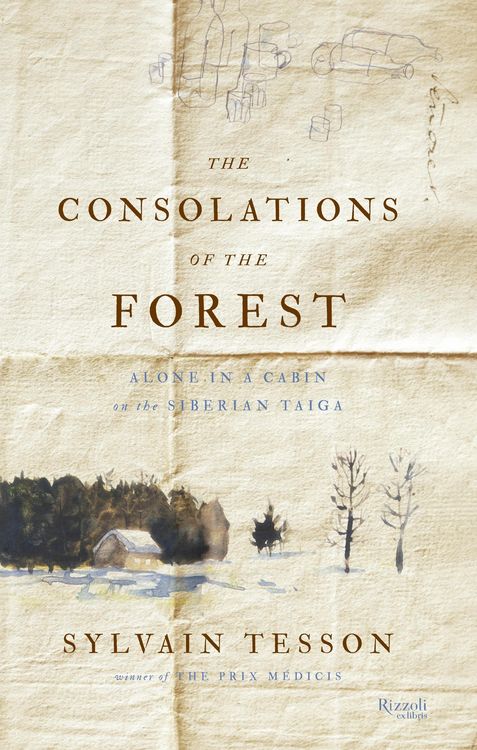 Produktbild: Consolations Of The Forest
