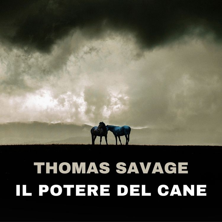 Produktbild: Il potere del cane