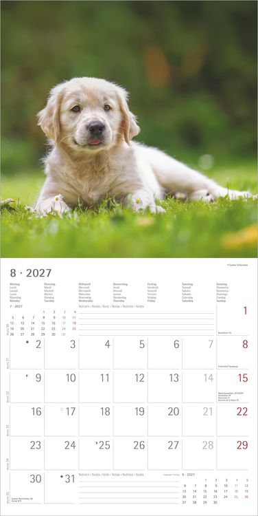 Produktbild: Hunde 2027