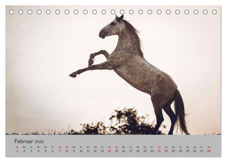 Produktbild: Spiegel deiner Seele (Tischkalender 2026 DIN A5 quer), CALVENDO Monatskalender