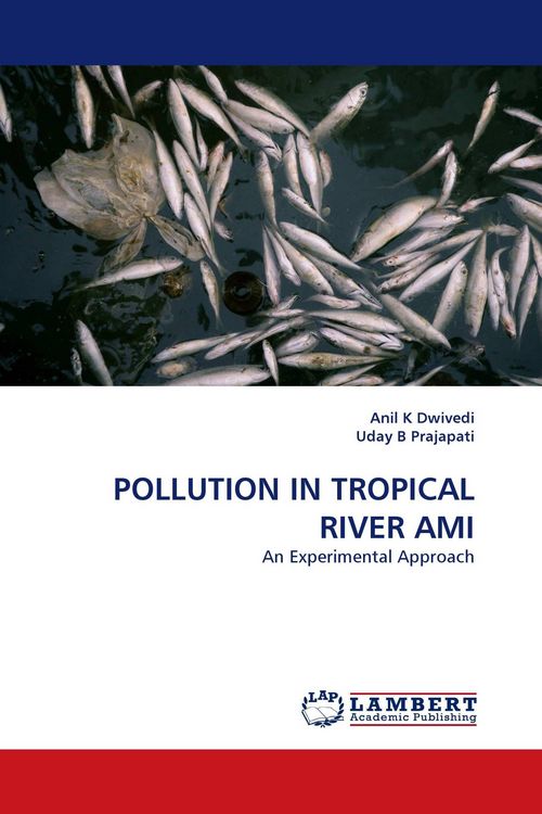 Produktbild: Pollution in Tropical River Ami