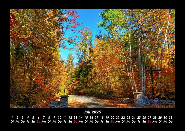 Produktbild: B&auml;ume 2025 Fotokalender DIN A3