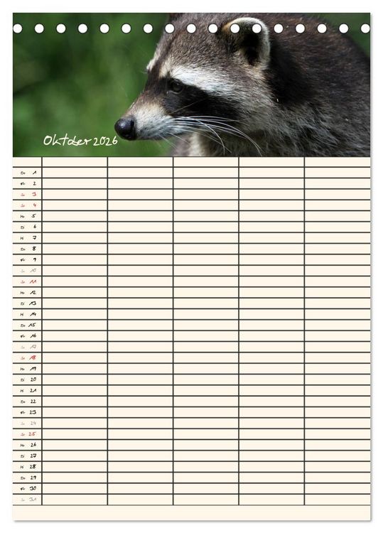 Produktbild: Waschb&auml;ren Familienplaner (Tischkalender 2026 DIN A5 hoch), CALVENDO Monatskalender