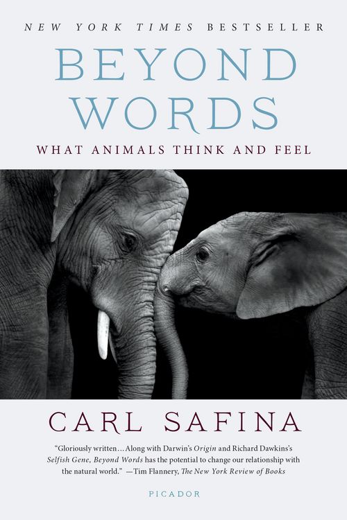 Produktbild: Beyond Words