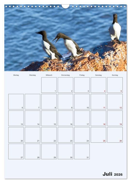 Produktbild: Wildes Leben auf Helgoland (Wandkalender 2026 DIN A3 hoch), CALVENDO Monatskalender