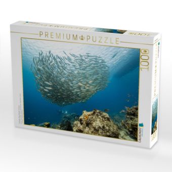 Produktbild: CALVENDO Puzzle Fischball - Playa Piskado - Cura&ccedil;ao | 1000 Teile Lege-Gr&ouml;&szlig;e 64x48cm Foto-Puzzle f&uuml;r gl&uuml;ckliche Stunden