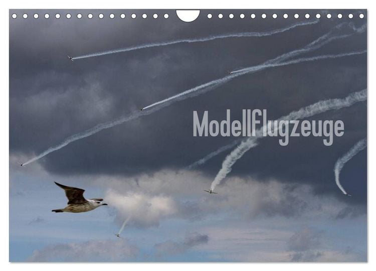 Produktbild: Modellflugzeuge Nr. 1 / 2026 (Wandkalender 2026 DIN A4 quer), CALVENDO Monatskalender