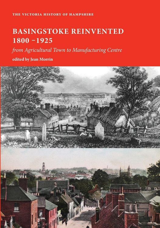 Produktbild: Basingstoke Reinvented