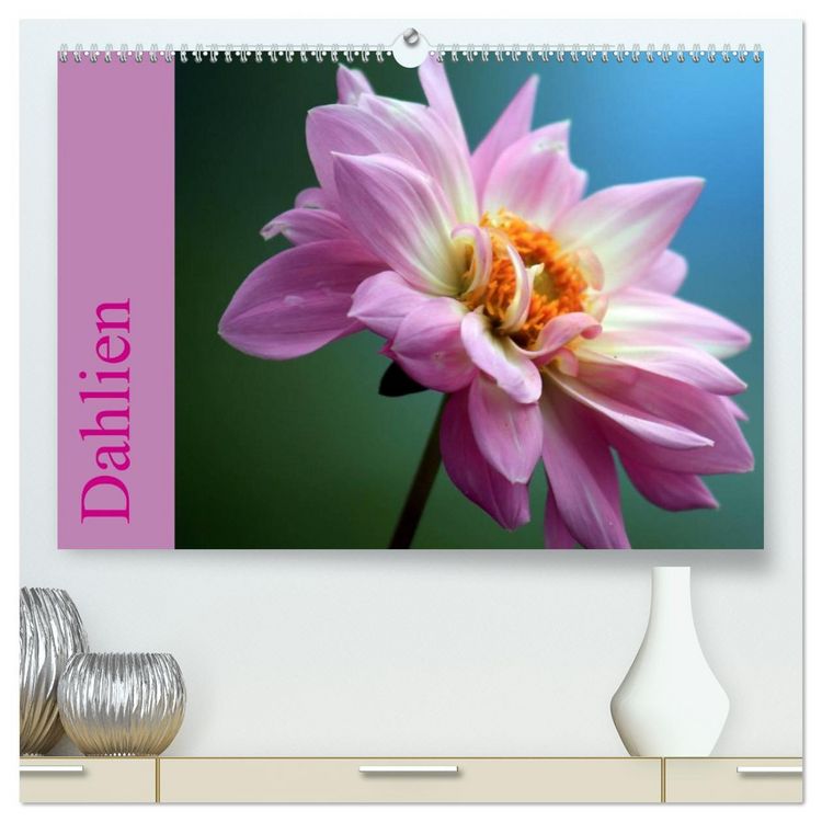Produktbild: Dahlien (hochwertiger Premium Wandkalender 2026 DIN A2 quer), Kunstdruck in Hochglanz