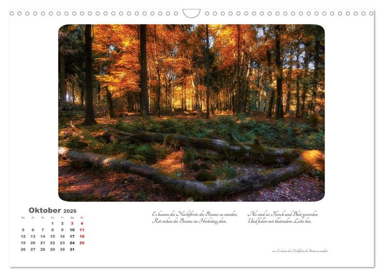 Produktbild: Max Dauthendey - Mit dem Wald durchs Jahr (Wandkalender 2026 DIN A3 quer), CALVENDO Monatskalender