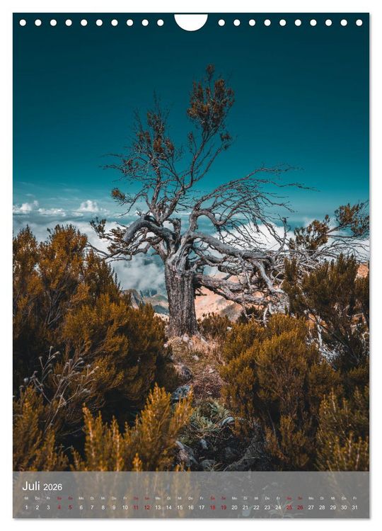 Produktbild: Madeira - Zauber einer Insel (Wandkalender 2026 DIN A4 hoch), CALVENDO Monatskalender