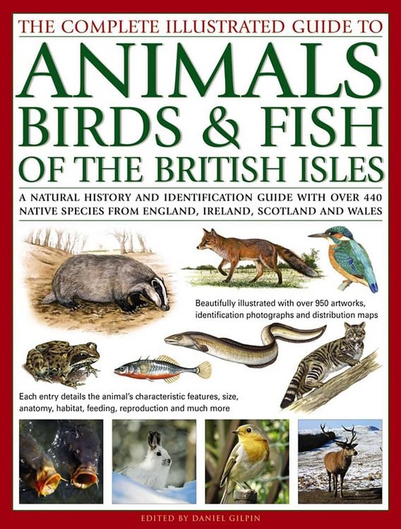Produktbild: The Complete Illustrated Guide to Animals, Birds & Fish of the British Isles
