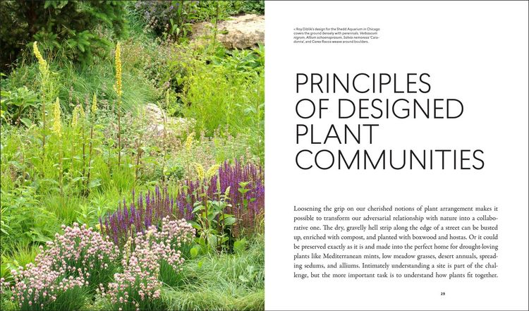Produktbild: Planting in a Post-Wild World