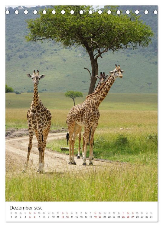 Produktbild: Giraffe - Bemerkenswerte Tiere. (Tischkalender 2026 DIN A5 hoch), CALVENDO Monatskalender