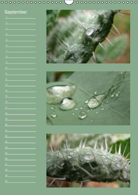 Produktbild: Zauberwelt der Blumen - Eiskristalle & Wasserperlen / Geburtstagskalender (Wandkalender immerw&auml;hrend DIN A3 hoch)