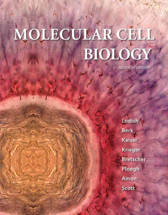 Produktbild: Molecular Cell Biology 7/e