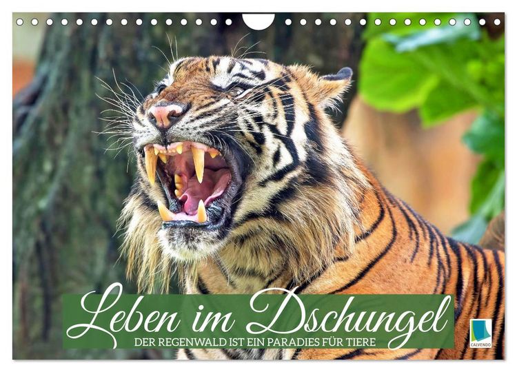 Produktbild: Leben im Dschungel: Der Regenwald ist ein Paradies f&uuml;r Tiere (Wandkalender 2026 DIN A4 quer), CALVENDO Monatskalender