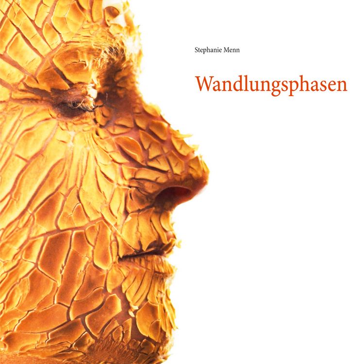 Produktbild: Wandlungsphasen