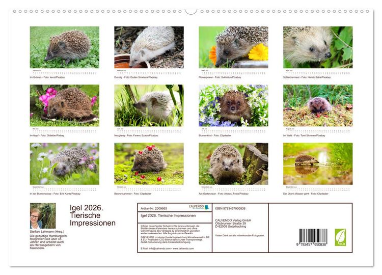 Produktbild: Igel 2026. Tierische Impressionen (hochwertiger Premium Wandkalender 2026 DIN A2 quer), Kunstdruck in Hochglanz