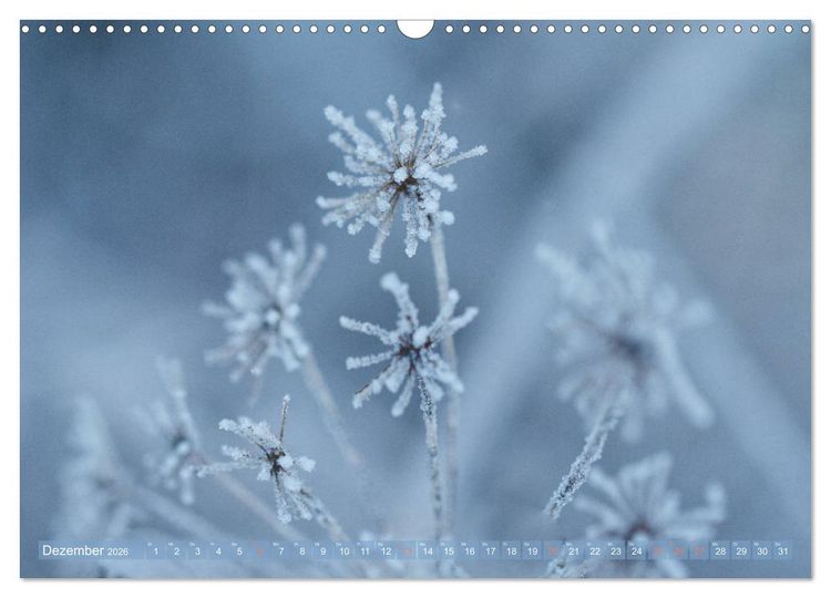 Produktbild: Die Poesie der Pflanzenwelt - Im Wandel der Jahreszeiten (Wandkalender 2026 DIN A3 quer), CALVENDO Monatskalender