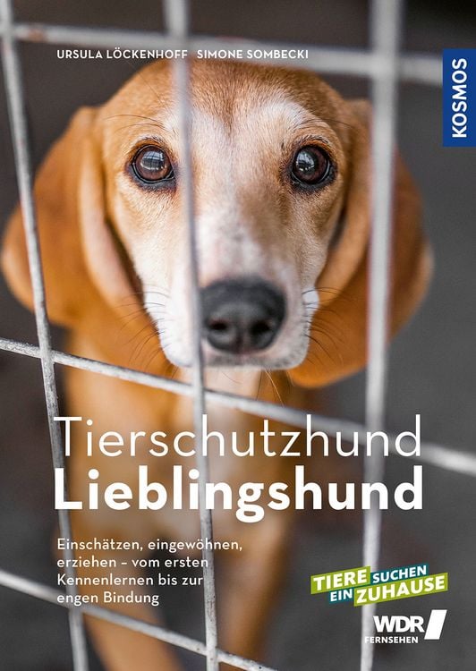 Produktbild: Tierschutzhund Lieblingshund