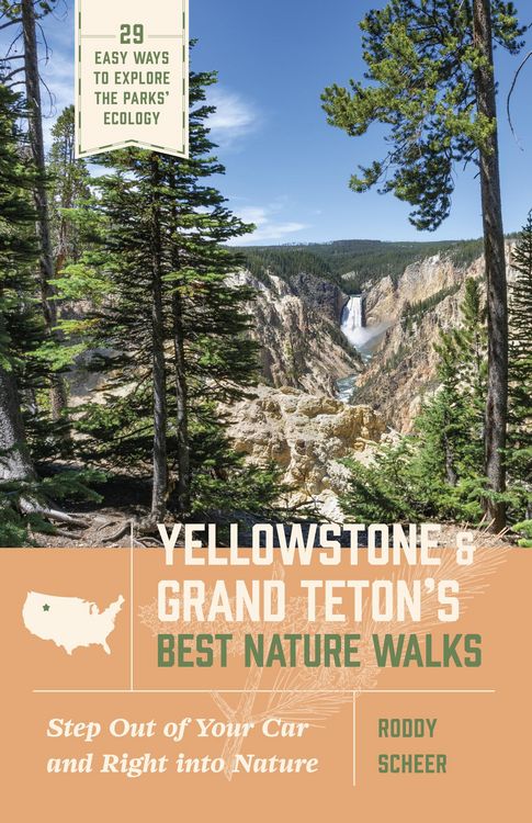 Produktbild: Yellowstone and Grand Teton's Best Nature Walks