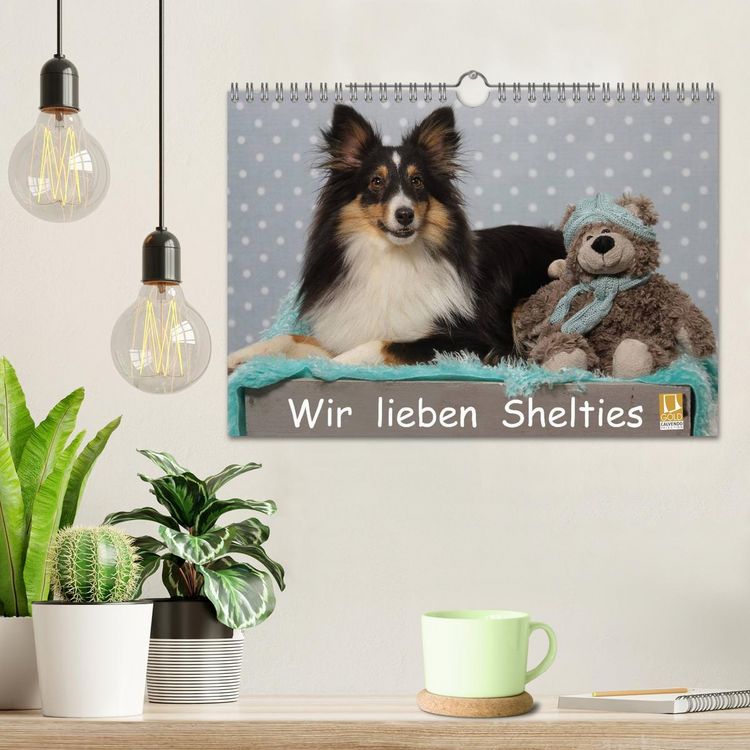 Produktbild: Wir lieben Shelties (Wandkalender 2026 DIN A4 quer), CALVENDO Monatskalender