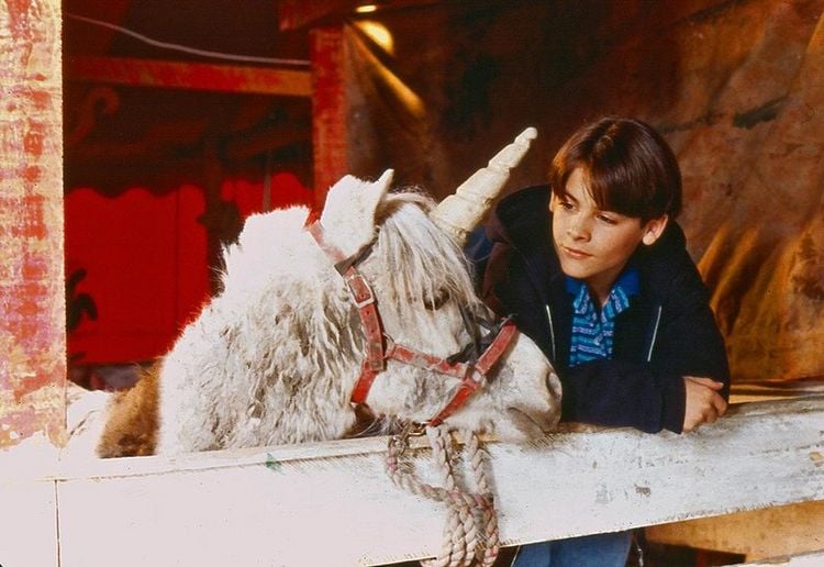 Produktbild: Nico, das Einhorn