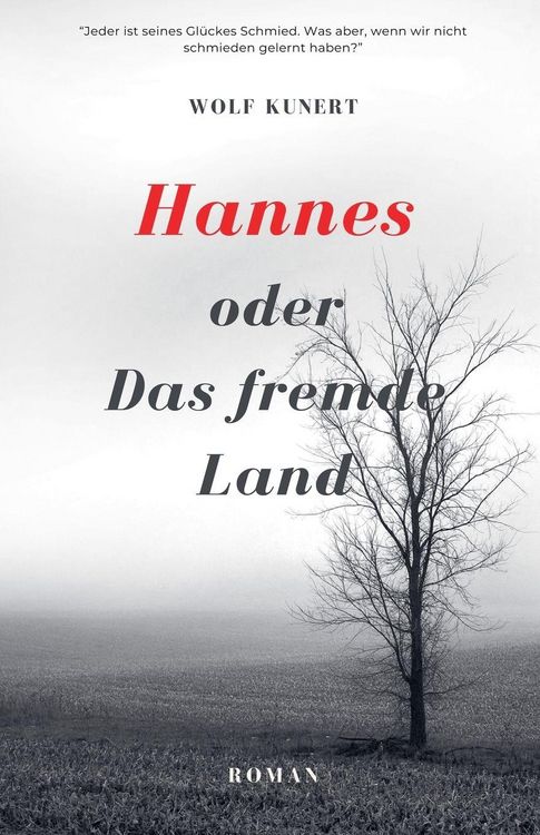 Produktbild: Hannes oder Das fremde Land