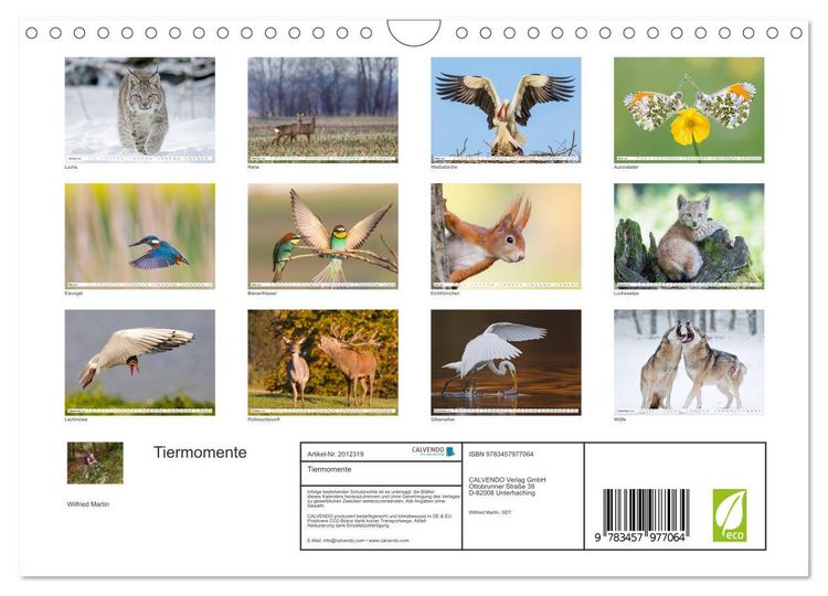 Produktbild: Tiermomente (Wandkalender 2026 DIN A4 quer), CALVENDO Monatskalender