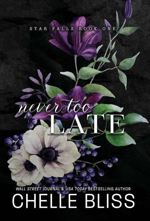 Produktbild: Never Too Late
