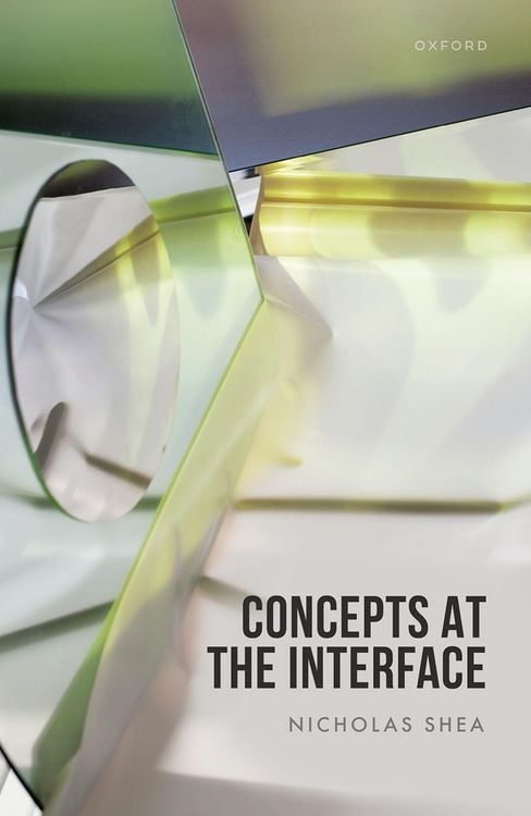 Produktbild: Concepts at the Interface