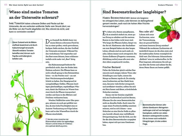 Produktbild: Wer klaut meine &Auml;pfel aus dem Garten