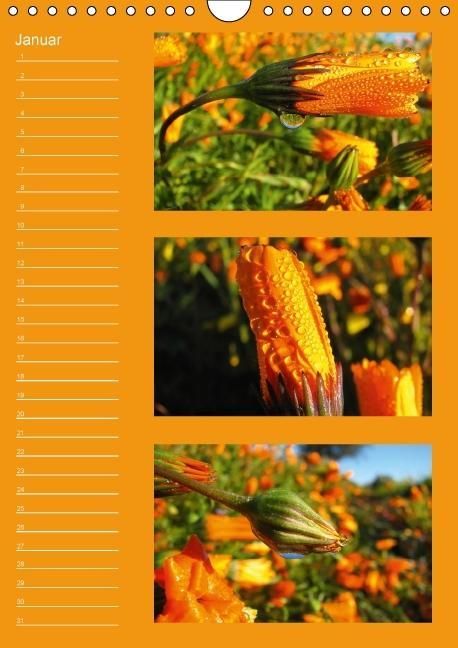 Produktbild: Zauberwelt der Blumen - Eiskristalle & Wasserperlen / Geburtstagskalender (Wandkalender immerw&auml;hrend DIN A4 hoch)