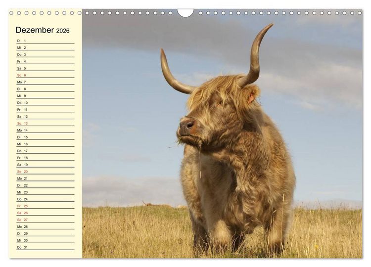 Produktbild: Gl&uuml;ckliche K&uuml;he auf saftigen Wiesen (Wandkalender 2026 DIN A3 quer), CALVENDO Monatskalender