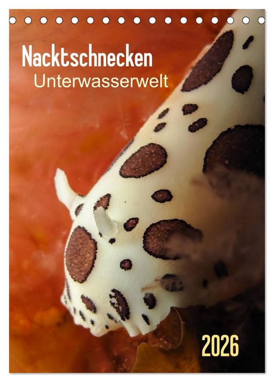 Produktbild: Nacktschnecken - Unterwasserwelt 2026 (Tischkalender 2026 DIN A5 hoch), CALVENDO Monatskalender