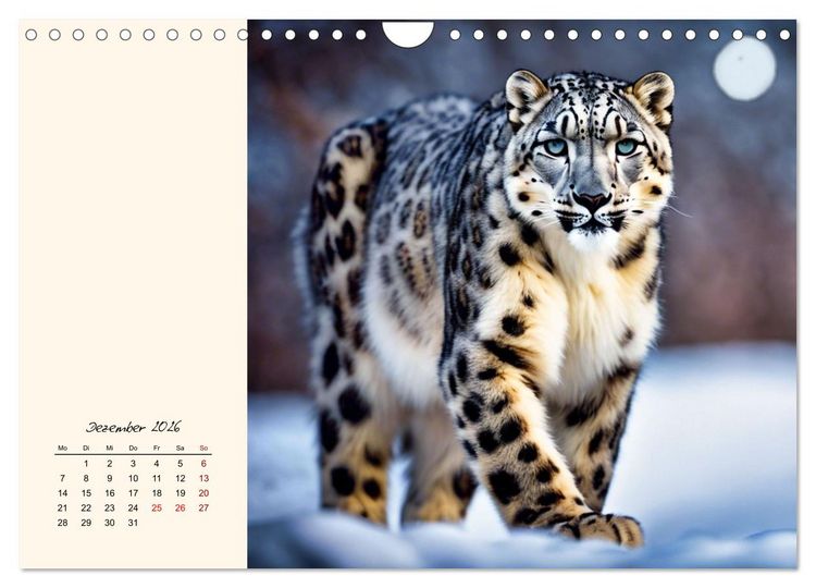 Produktbild: Im Reich der Schneeleoparden (Wandkalender 2026 DIN A4 quer), CALVENDO Monatskalender