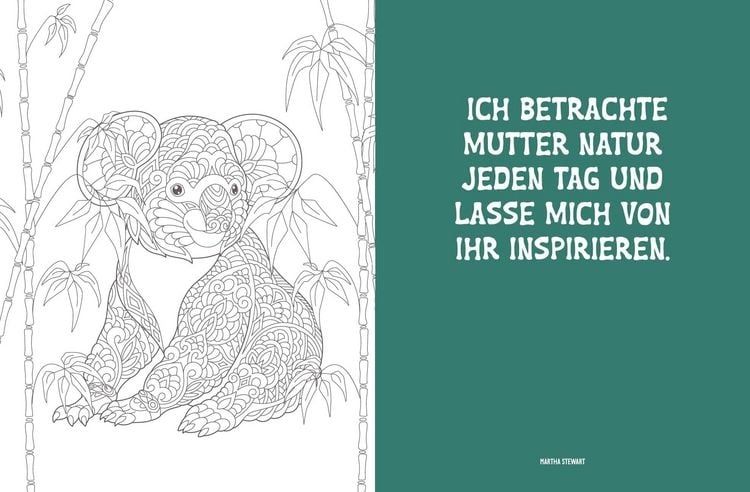 Produktbild: Colorful Mandala &ndash; Mandala &ndash; Dschungeltiere