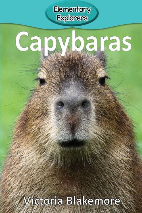 Produktbild: Capybaras