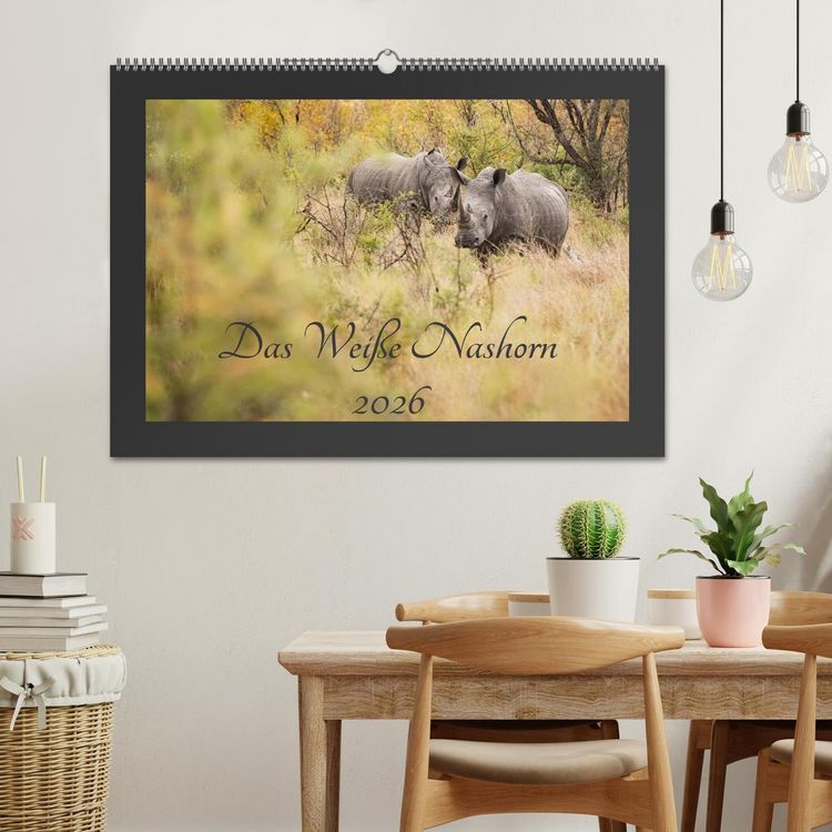 Produktbild: Das Wei&szlig;e Nashorn (Wandkalender 2026 DIN A2 quer), CALVENDO Monatskalender