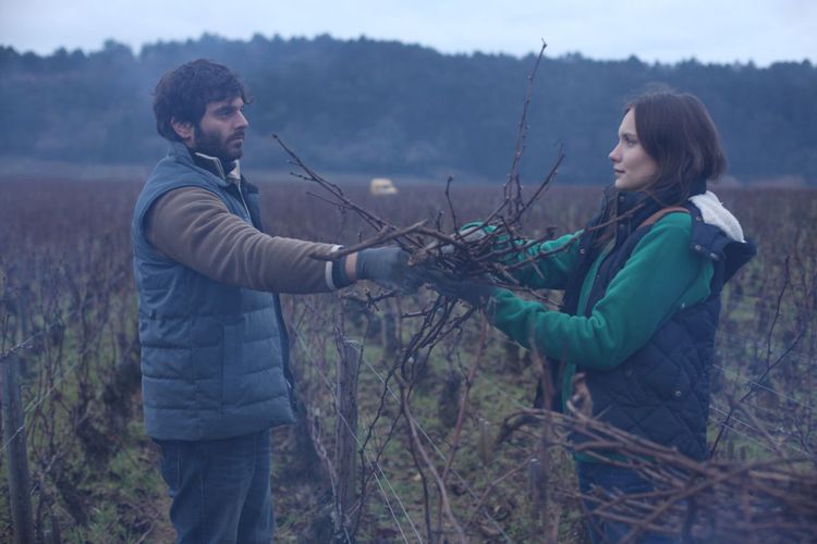 Produktbild: Der Wein und der Wind