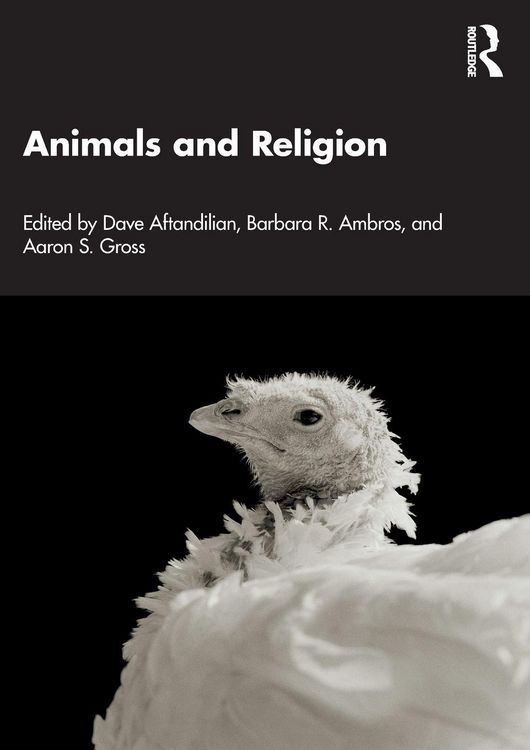 Produktbild: Animals and Religion