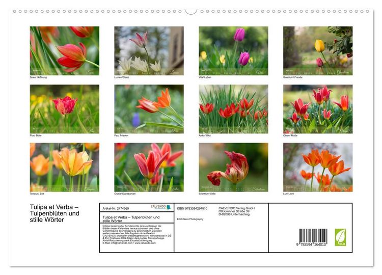 Produktbild: Tulipa et Verba &ndash; Tulpenbl&uuml;ten und stille W&ouml;rter (hochwertiger Premium Wandkalender 2027 DIN A2 quer), Kunstdruck in Hochglanz
