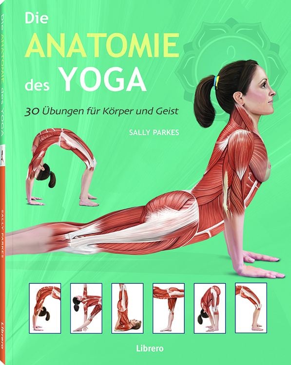 Produktbild: Die Anatomie des Yoga