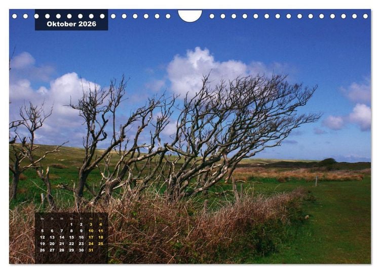 Produktbild: Texel Insel mit Charakter (Wandkalender 2026 DIN A4 quer), CALVENDO Monatskalender