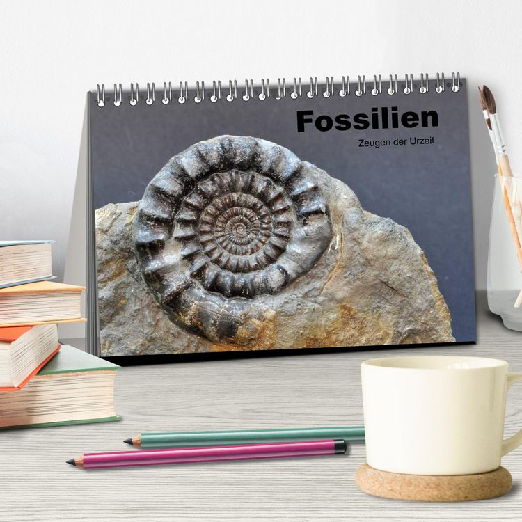 Produktbild: Fossilien - Zeugen der Urzeit (Tischkalender 2026 DIN A5 quer), CALVENDO Monatskalender