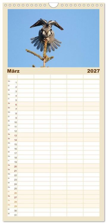 Produktbild: Familienplaner 2027 - Heimische Eulen und Greife mit 5 Spalten (Wandkalender, 21 x 45 cm) CALVENDO