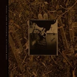 Produktbild: Come On Pilgrim-It's Surfer Rosa