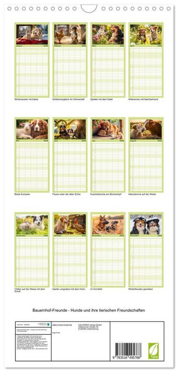 Produktbild: Familienplaner 2026 - Bauernhof-Freunde - Hunde und ihre tierischen Freundschaften mit 5 Spalten (Wandkalender, 21 x 45 cm) CALVENDO